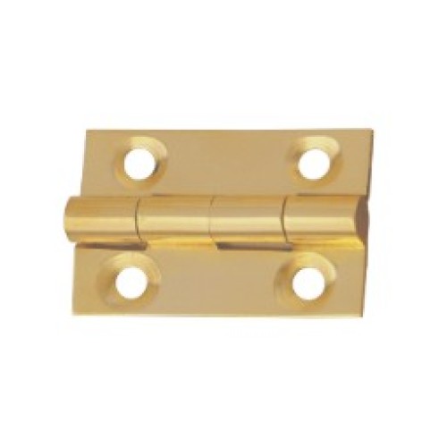 Brass Small Hinges